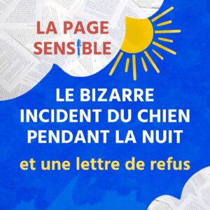 Chronique du polar pour ados de Mark Haddon, Le Bizarre incident du chien pendant la nuit